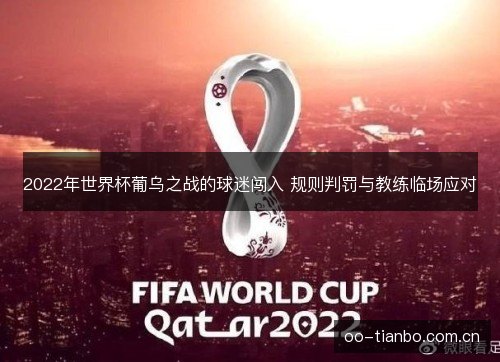 2022年世界杯葡乌之战的球迷闯入 规则判罚与教练临场应对